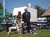 Special Dalmatian Club Show Czech republic  5/09 - Allegra,  EXHIBITION WINNER !!