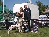 Special Dalmatian Club Show Czech republic  5/09 - Allegra,  EXHIBITION WINNER !!