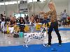 CACIB Bratislava (16.8.) - Exc. 1, CAC !!