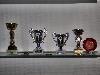 Aida´s trophies - won this year (2009) !!!