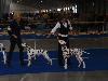 CACIB PRAGUE 4/10 (Champion class ) - Aida Exc. 2, res. CAC