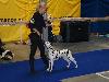 CACIB PRAGUE 4/10 (Champion class ) - Aida Exc. 2, res. CAC