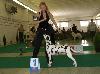 CACIB NITRA 6/10- AIDA Exc. 1, CAC, CACIB, BOB !!