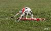 CHAMPIONSHIP CZECH REPUBLIC 2010 - COURSING !!