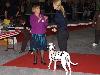 CACIB METZ (Fr) 11/10 - Aida Exc. 1, CACS, CACIB, BOB !!!!