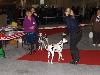 CACIB METZ (Fr) 11/10 - Aida Exc. 1, CACS, CACIB, BOB !!!!