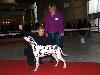 CACIB METZ (Fr) 11/10 - Aida Exc. 1, CACS, CACIB, BOB !!!!