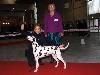 CACIB METZ (Fr) 11/10 - Aida Exc. 1, CACS, CACIB, BOB !!!!