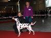 CACIB METZ (Fr) 11/10 - Aida Exc. 1, CACS, CACIB, BOB !!!!