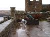 MATING IN SCOTLAND - CULZEAN CASTLE