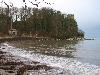 MATING IN SCOTLAND - CULZEAN CASTLE