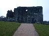 MATING IN SCOTLAND - DUNDONALD CASTLE 