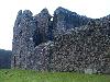 MATING IN SCOTLAND - DUNDONALD CASTLE 