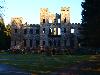 MATING IN SCOTLAND - LOUDOUN CASTLE 