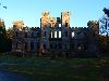 MATING IN SCOTLAND - LOUDOUN CASTLE 