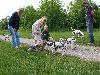 ASSONANZA DALMATIANS -  1st. meeting  ( 11 weeks old )