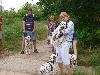 ASSONANZA DALMATIANS MEETING - 3 MONTHS OLD 