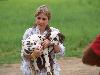 ASSONANZA DALMATIANS MEETING - 3 MONTHS OLD 