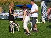 CLUB SHOW VOHRINGEN (D) 9/11 - ATILLIO VERY PROMISING 1 !! ( Puppy class )