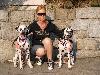CACIB NITRA (SK) 3/12 - ANDY Exc. 1, CAJC