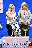 ATILLIO  -  Exc. 1, CAC, NATIONAL WINNER, BOB, BIG !!