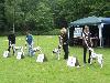 Combined Dog Show DDC and CDF (D 6/12 ) - Exc. 2, res. CAC VDH/ res. CAC Club !!