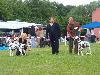 GSA PRITZHAGEN (D) 8/12 -ARGO  ( inter. cl.) -  CAC VDH/ CAC club DVD