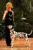  ATILLIO CHAMPION of CHAMPIONS of the BREED DALMATIAN  