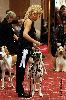 ATILLIO CHAMPION of CHAMPIONS of the BREED DALMATIAN 