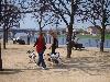 Dresden 2009