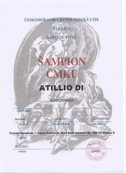 dalmatin-aida